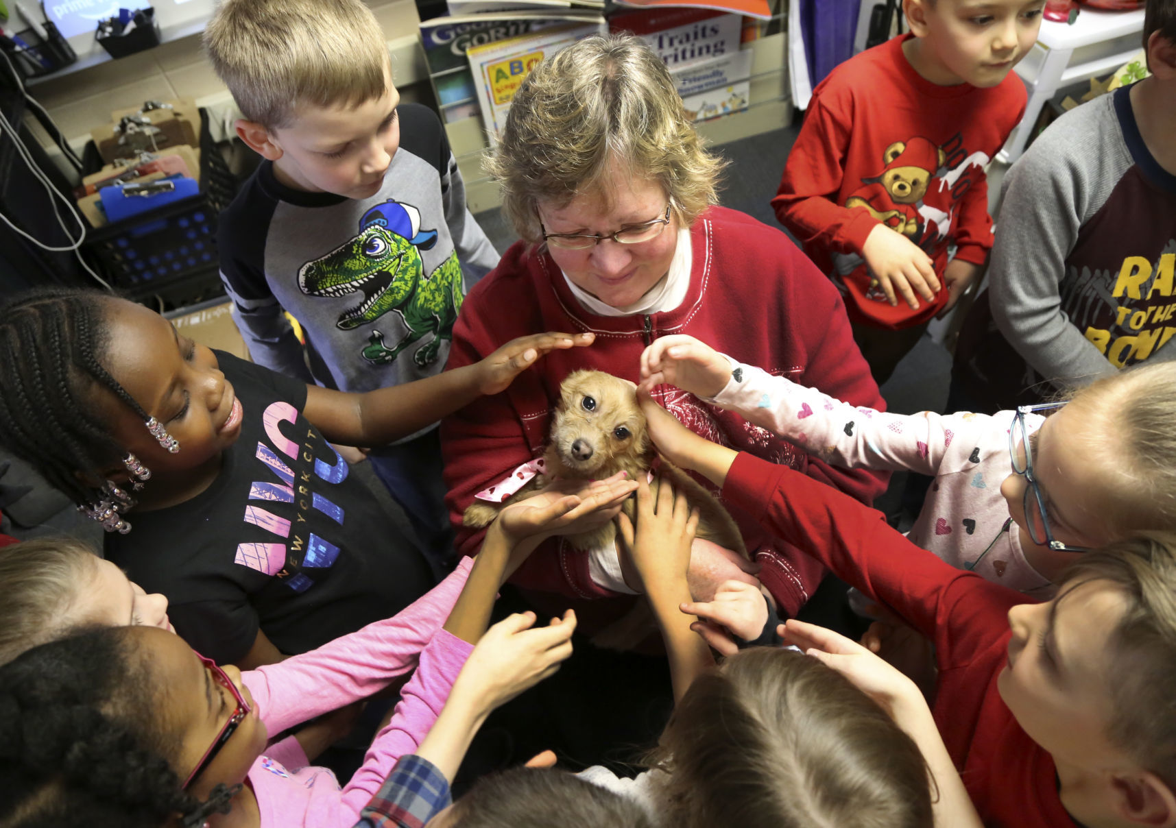 A special day for a special dog